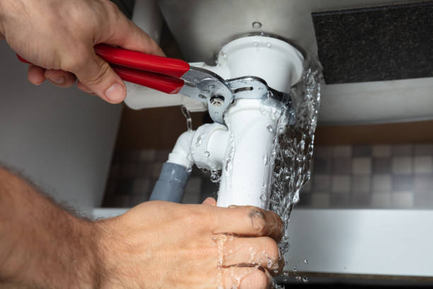 Best Local water damage restoration  in Holtville, AL