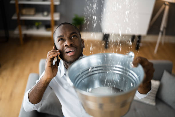 Best Flooded house restoration  in Holtville, AL
