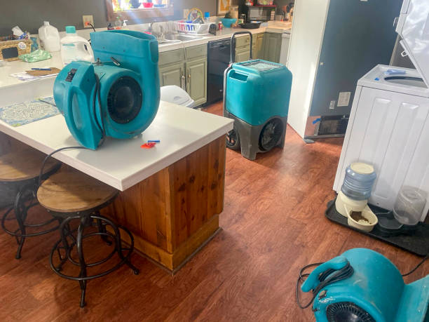 Best Fire Damage Restoration  in Holtville, AL