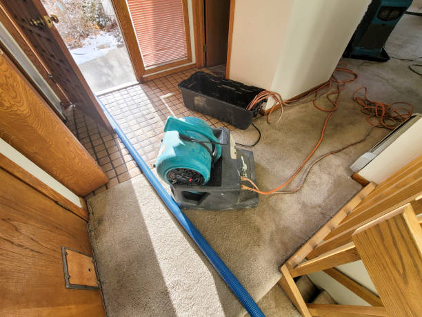 Professional Water damage restoration in AL