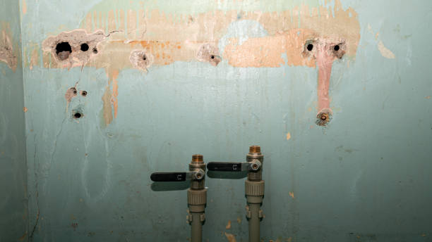 Best Flood restoration services  in Holtville, AL