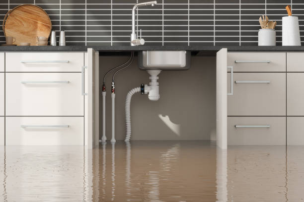 Best Water damage mitigation services  in Holtville, AL