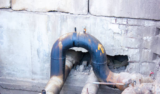 Best Flood damage cleanup  in Holtville, AL