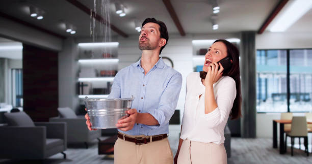 Best Fire Damage Restoration  in Holtville, AL